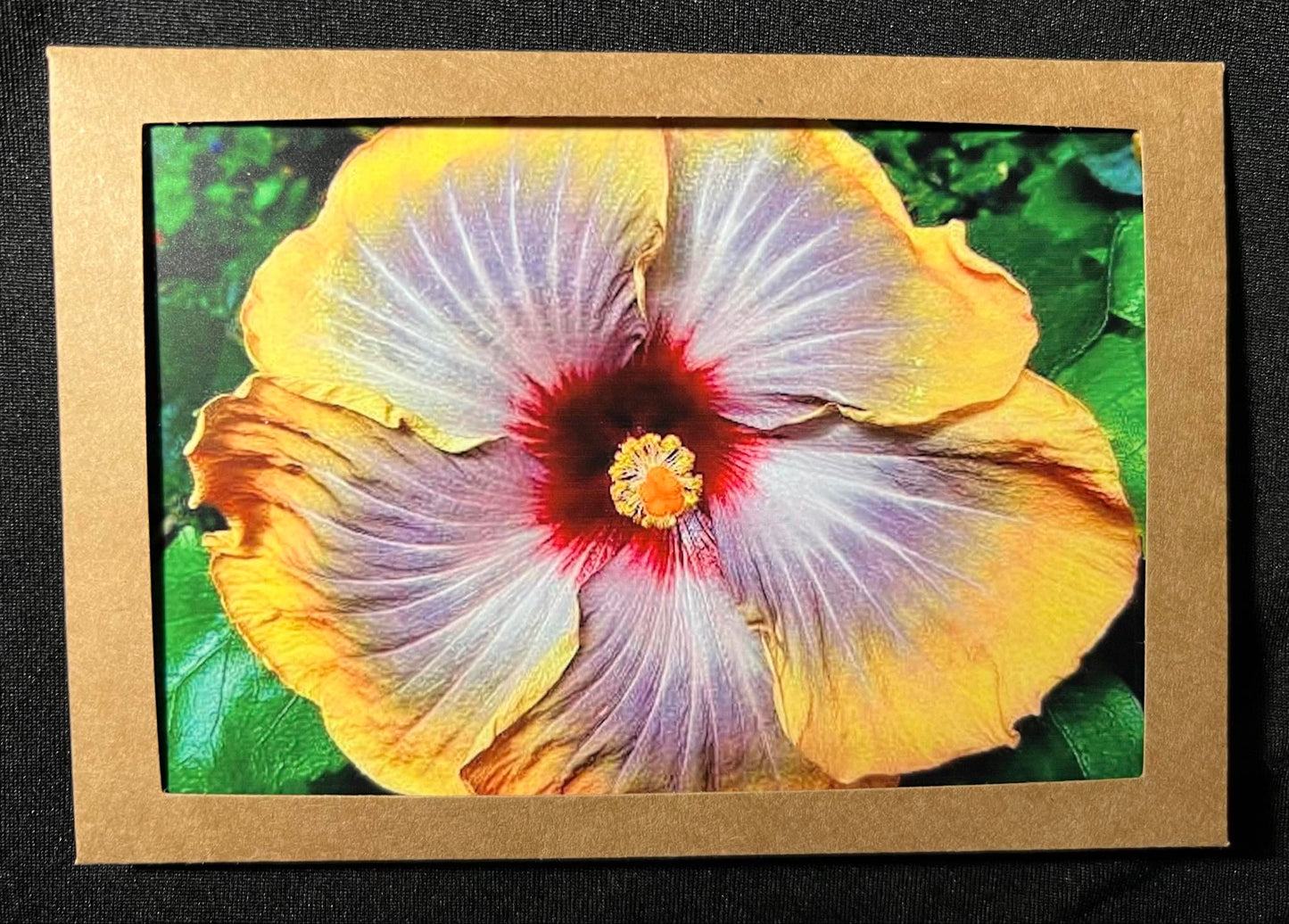 Photo Card - Hibiscus