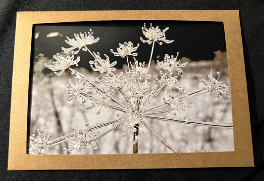 Photo Card - Frozen Flowers