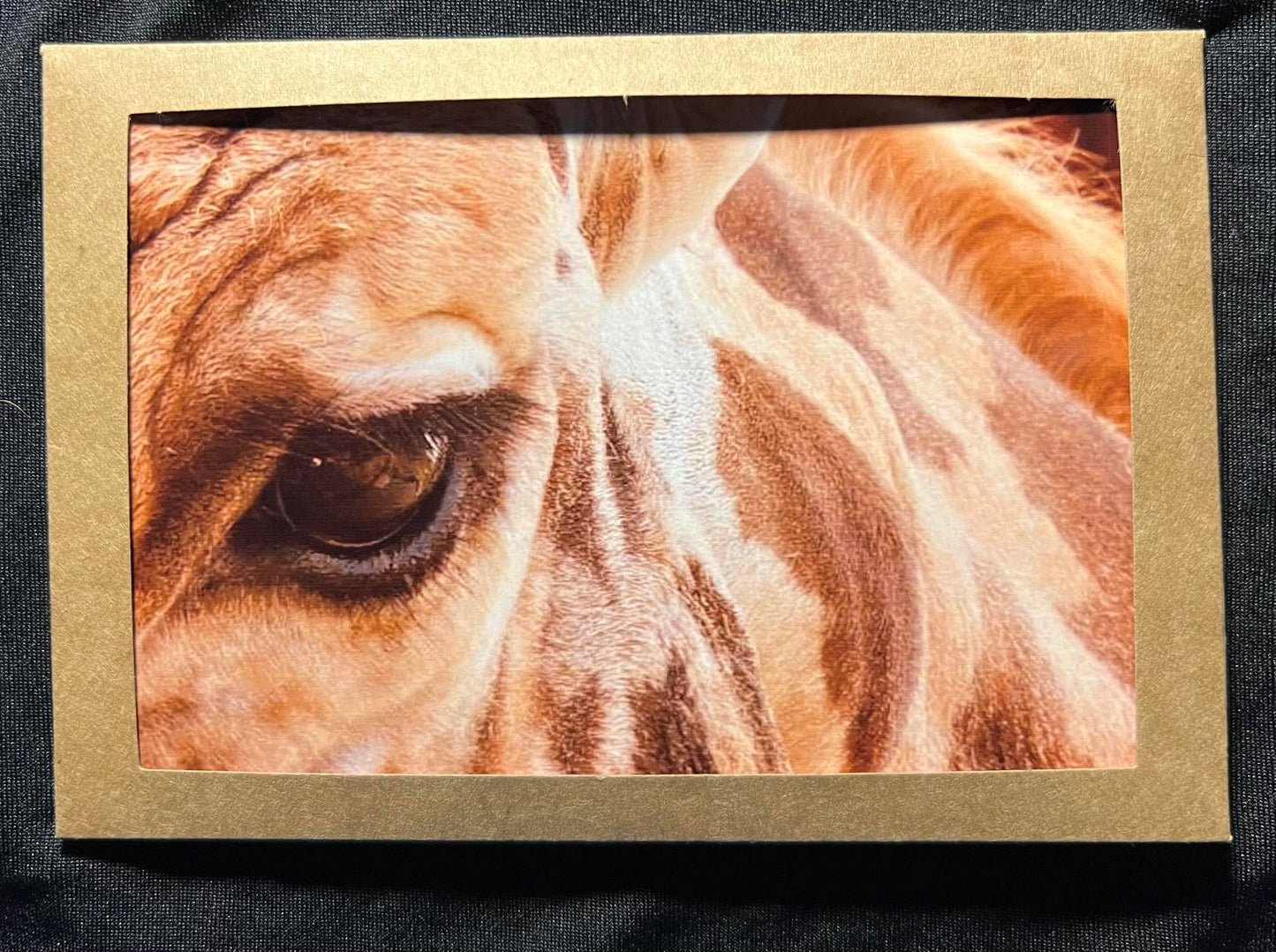 Photo Card - Giraffe 1