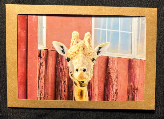 Photo Card - Giraffe 2