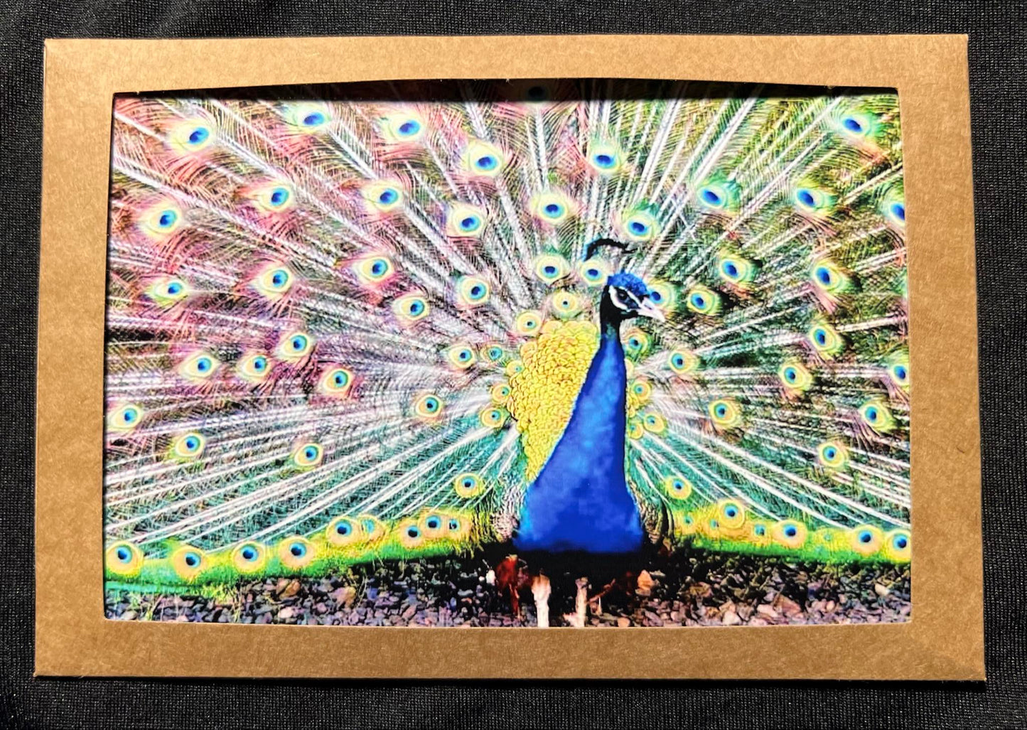 Photo Card - Peacock