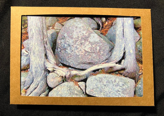 Photo Card - Rocks