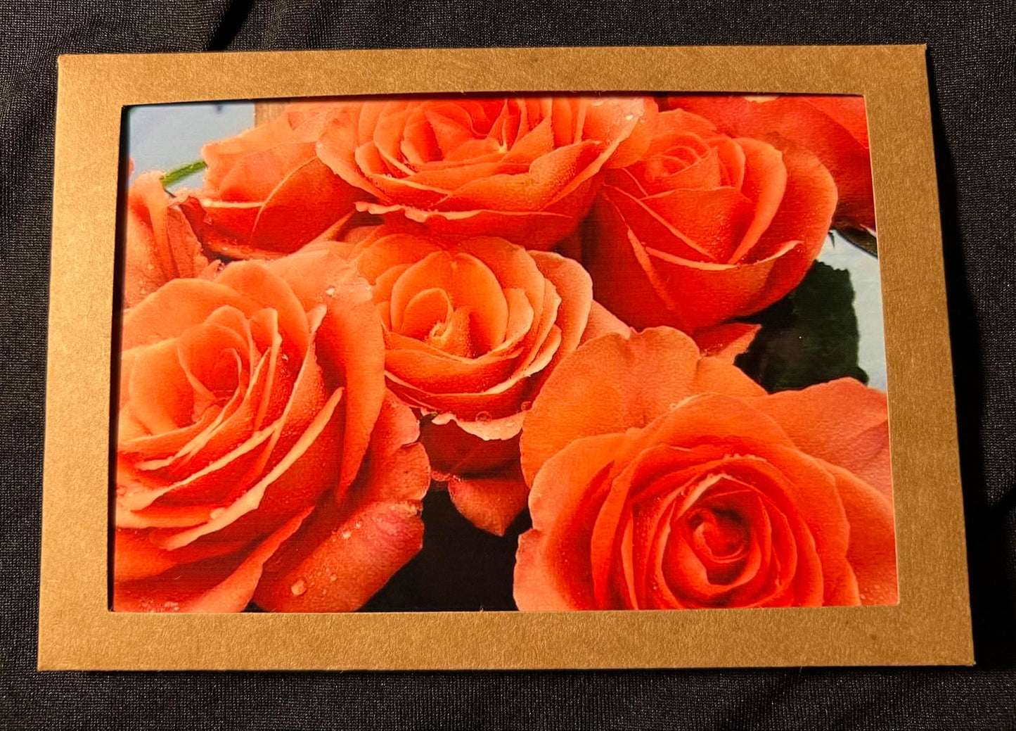 Photo Card - Roses