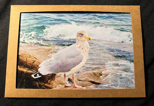 Photo Card - Seagull 2