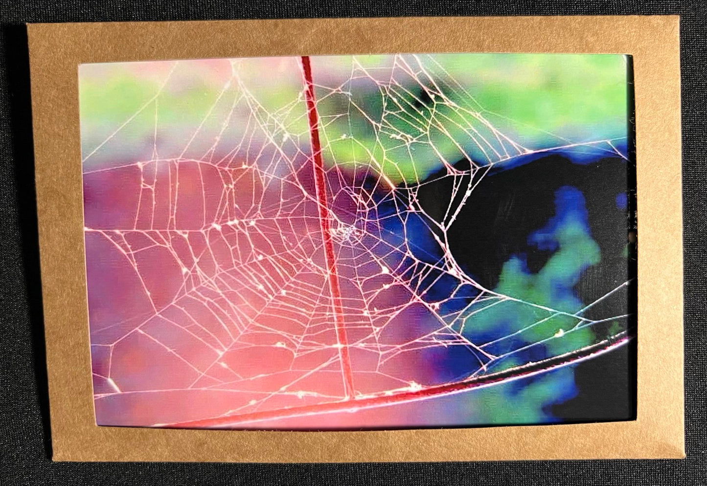 Photo Card - Spider Web