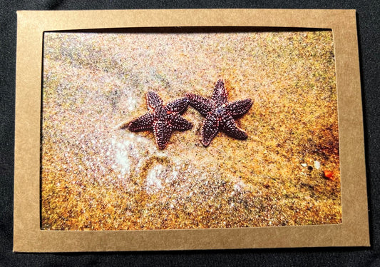 Photo Card - Starfish