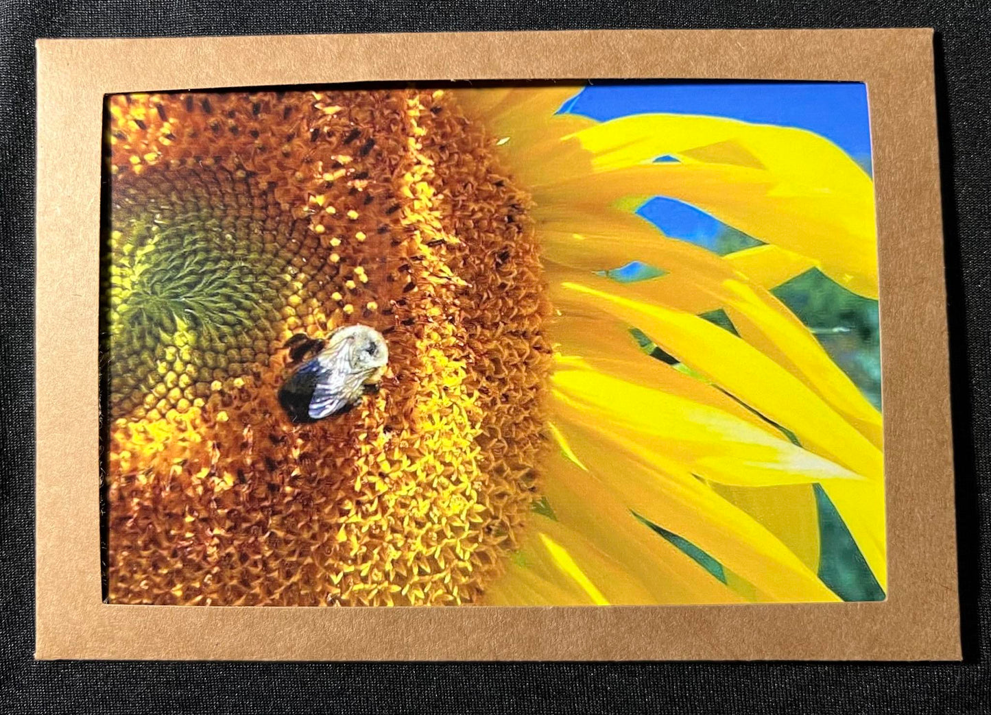 Photo Card - Sunflower 1