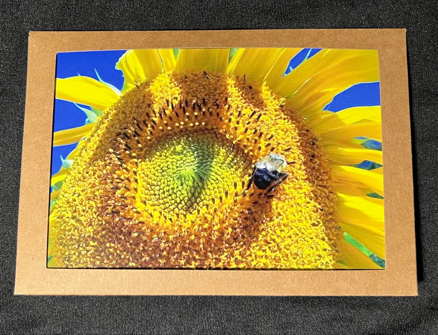 Photo Card - Sunflower 2